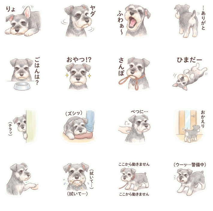 シュウの日常【ミニチュアシュナウザー】